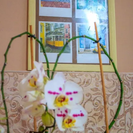 Bb Downtown * バイナ・バシュタ