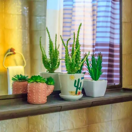 Bb Downtown Apartament