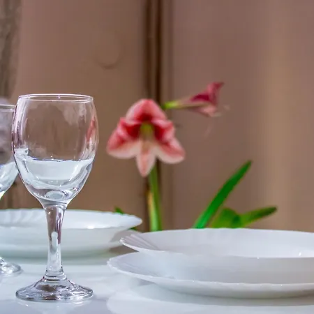 Bb Downtown Apartament Bajina Basta