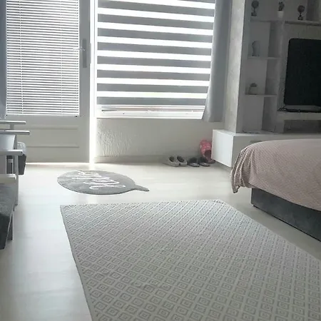 Bb Downtown Bajina Basta