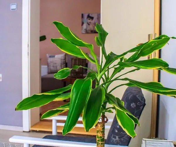 Bb Downtown 아파트 *