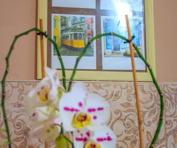 Bb Downtown * 바이나 바슈타